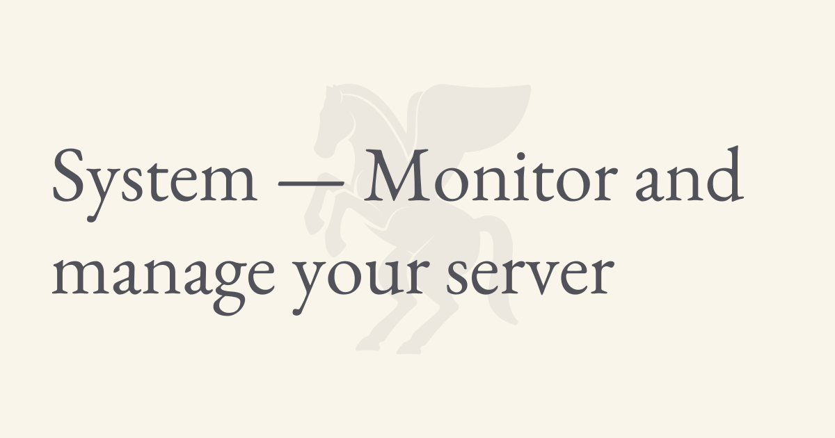 System — Monitor and manage your server | Zo Computer